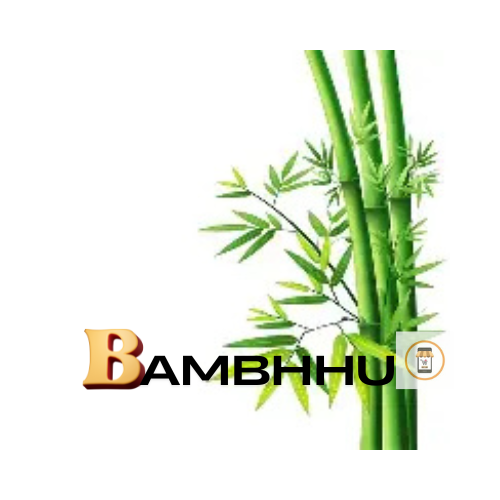 My Store